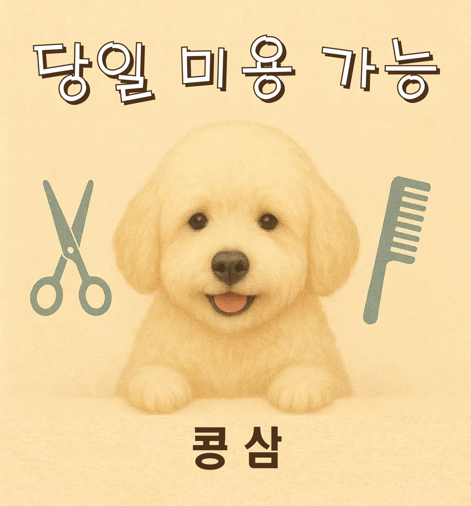 콩삼 대표 이미지