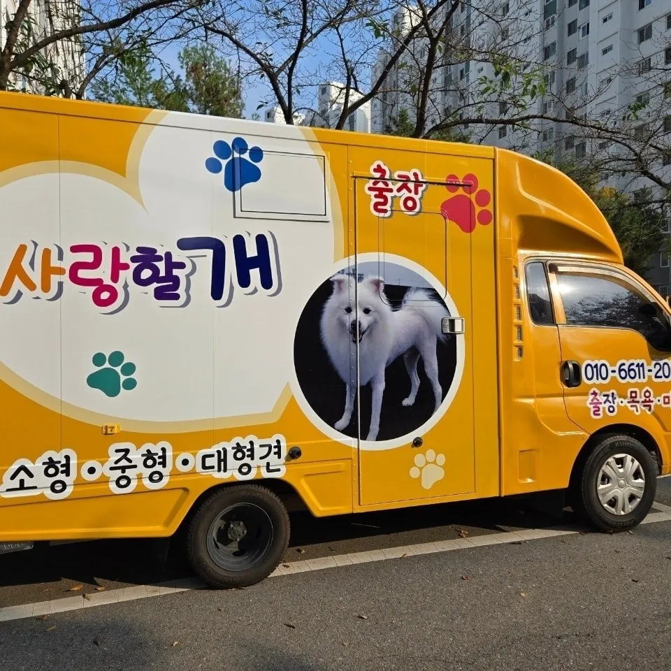 사랑할개 대표 이미지