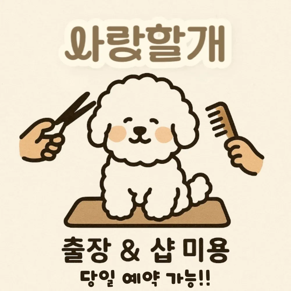 사랑할개 대표 이미지