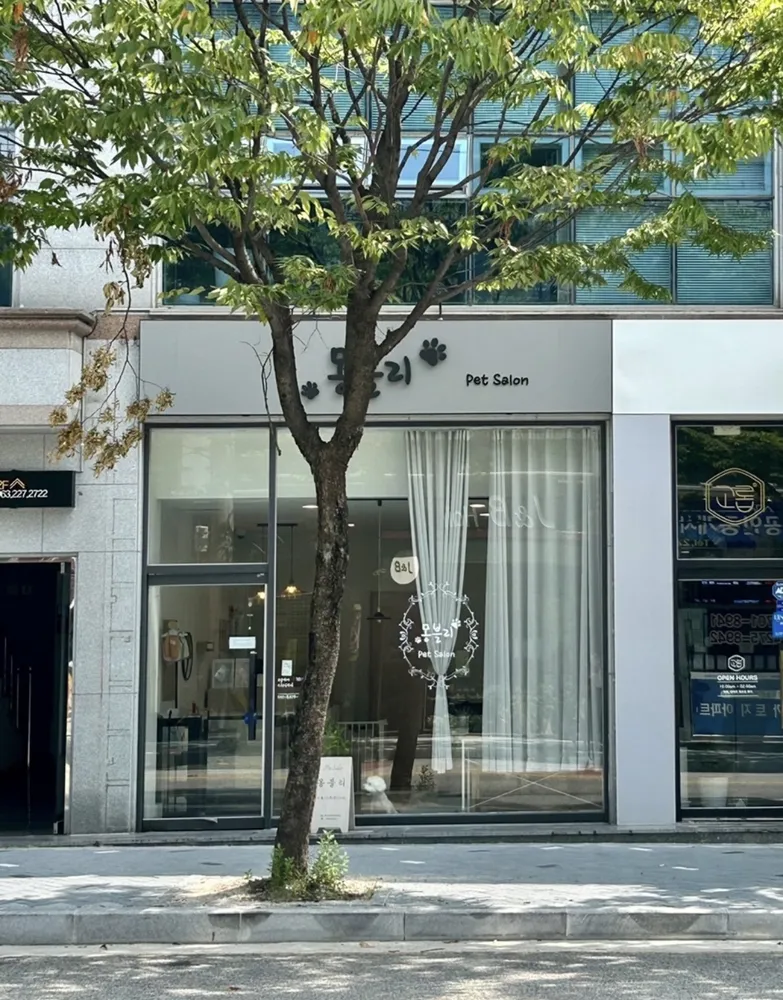 몽블리 대표 이미지