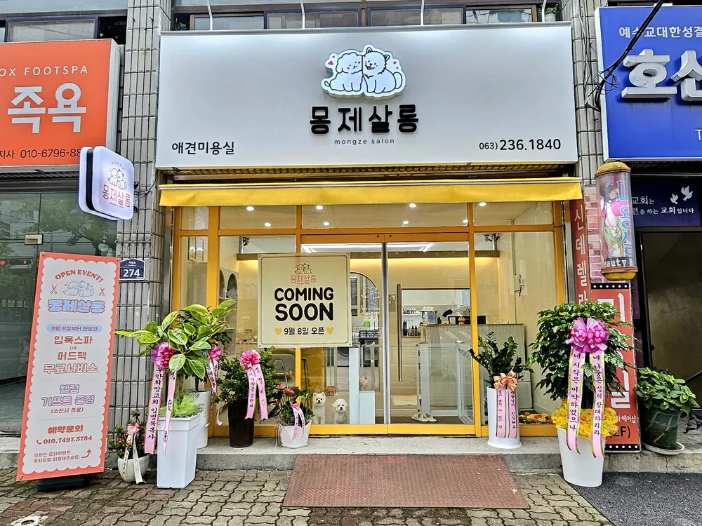 몽제살롱 대표 이미지