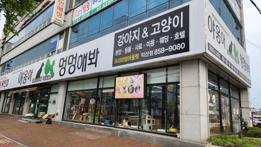 야옹아멍멍해봐 익산점 대표 이미지