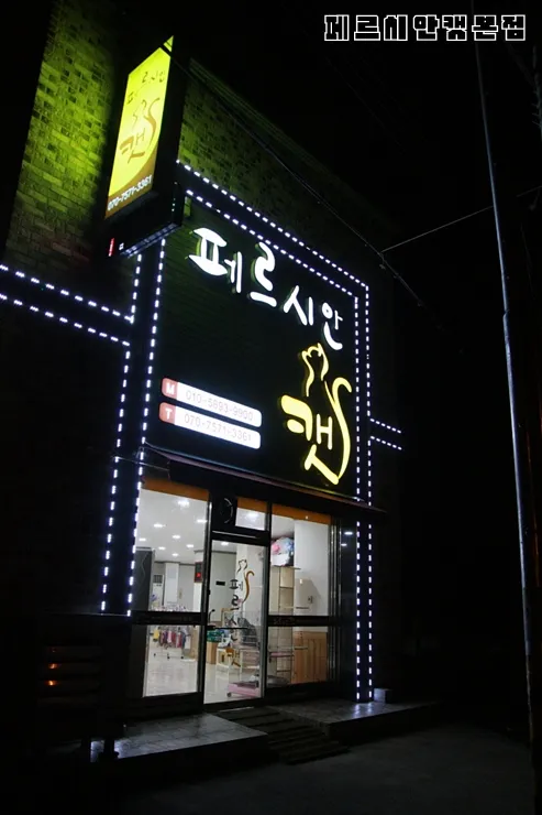 페르시안캣 대표 이미지