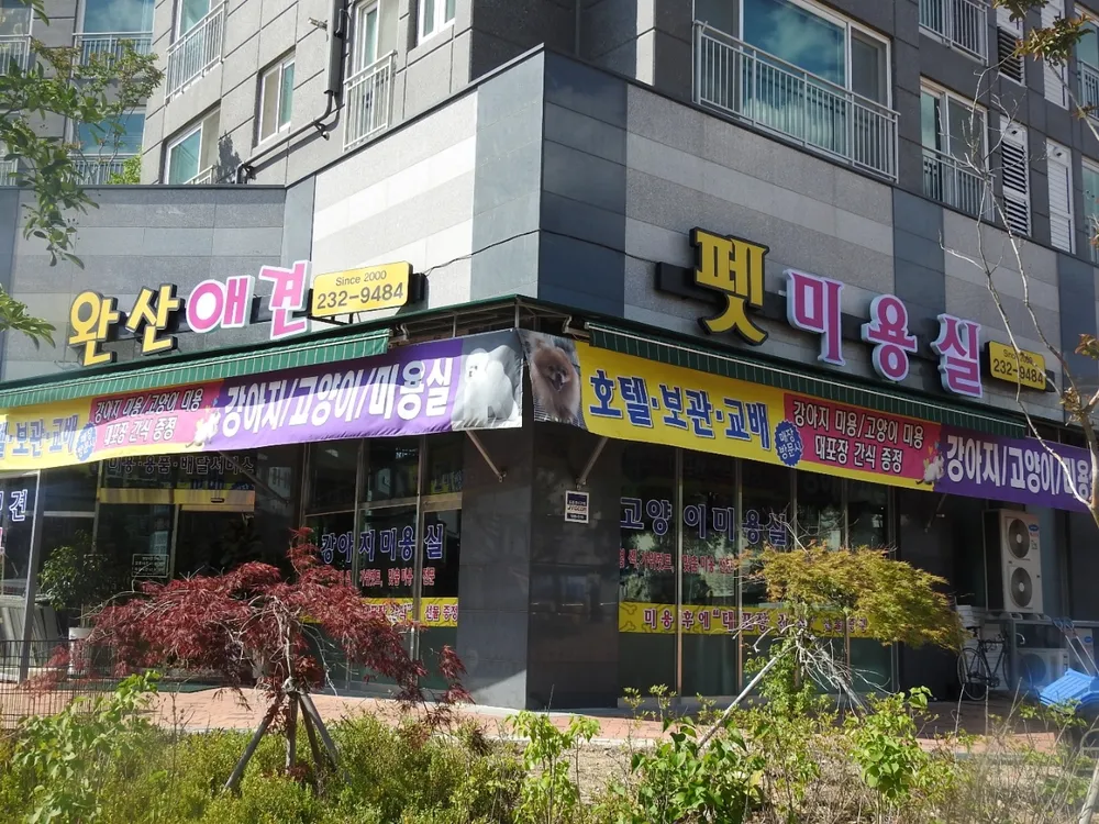 완산애견펫미용실 대표 이미지