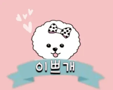 이쁘개 대표 이미지