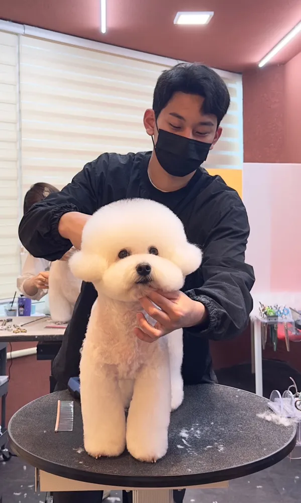 멍텔스컴바인 & 묭실묭실 대표 이미지