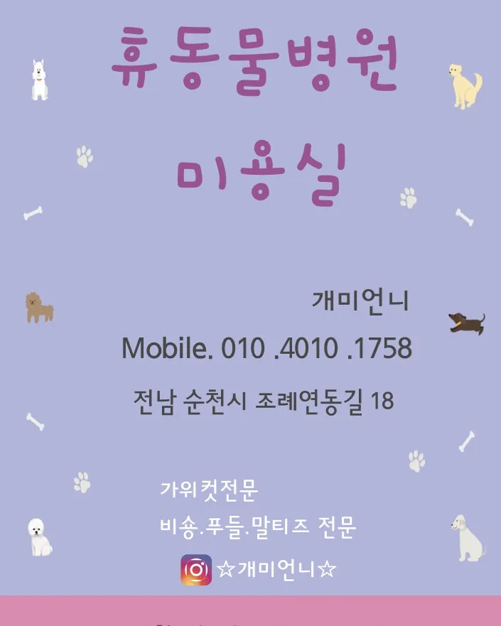 개미언니 대표 이미지