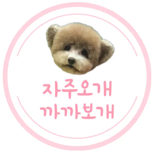 자주오개 까까보개 대표 이미지