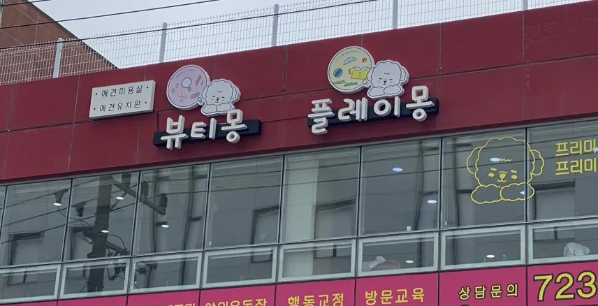 뷰티몽&플레이몽 대표 이미지