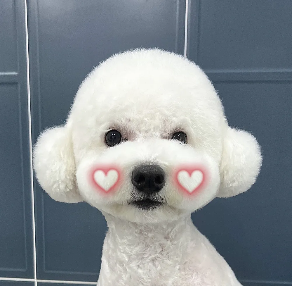 빵실빵실 대표 이미지