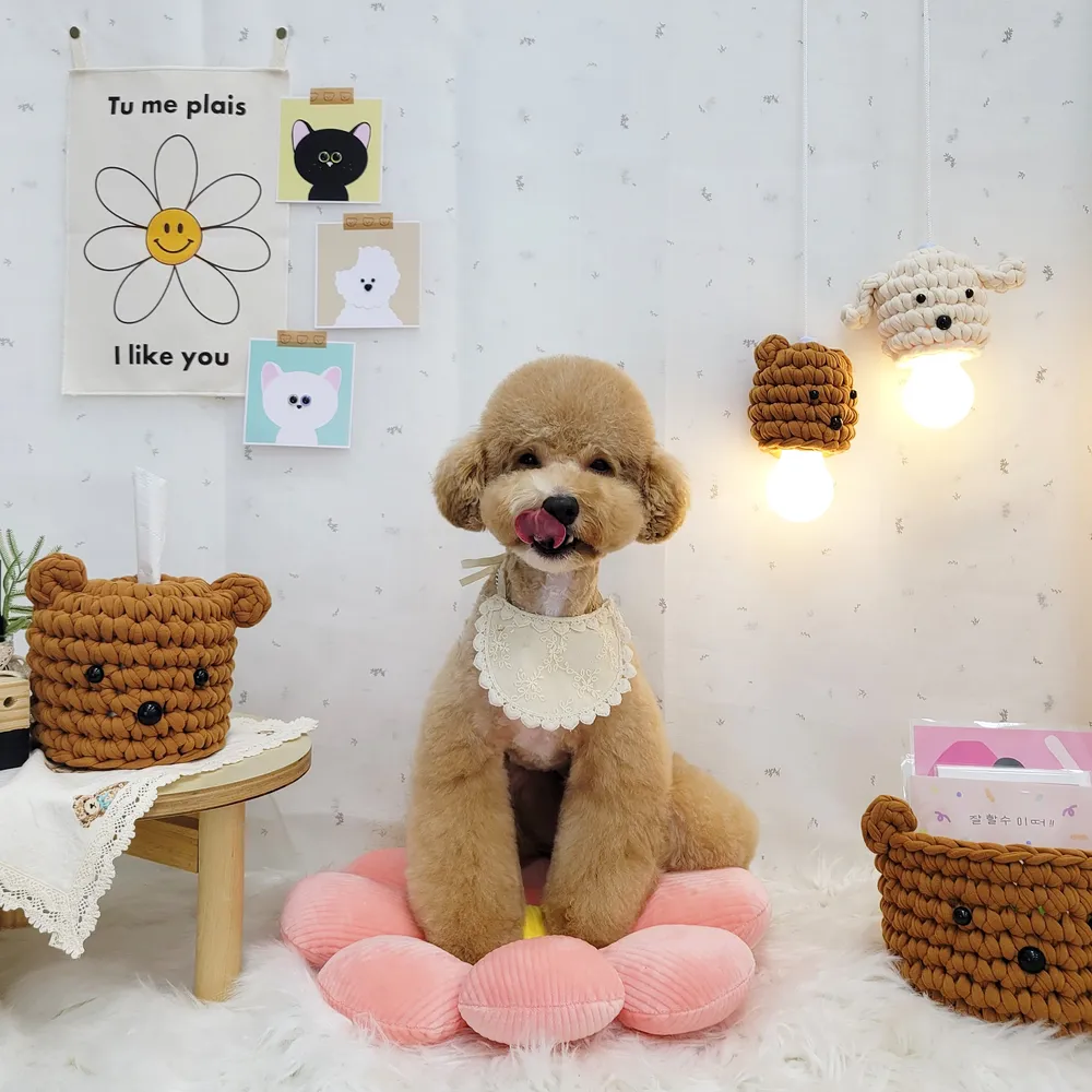 견생공감 대표 이미지