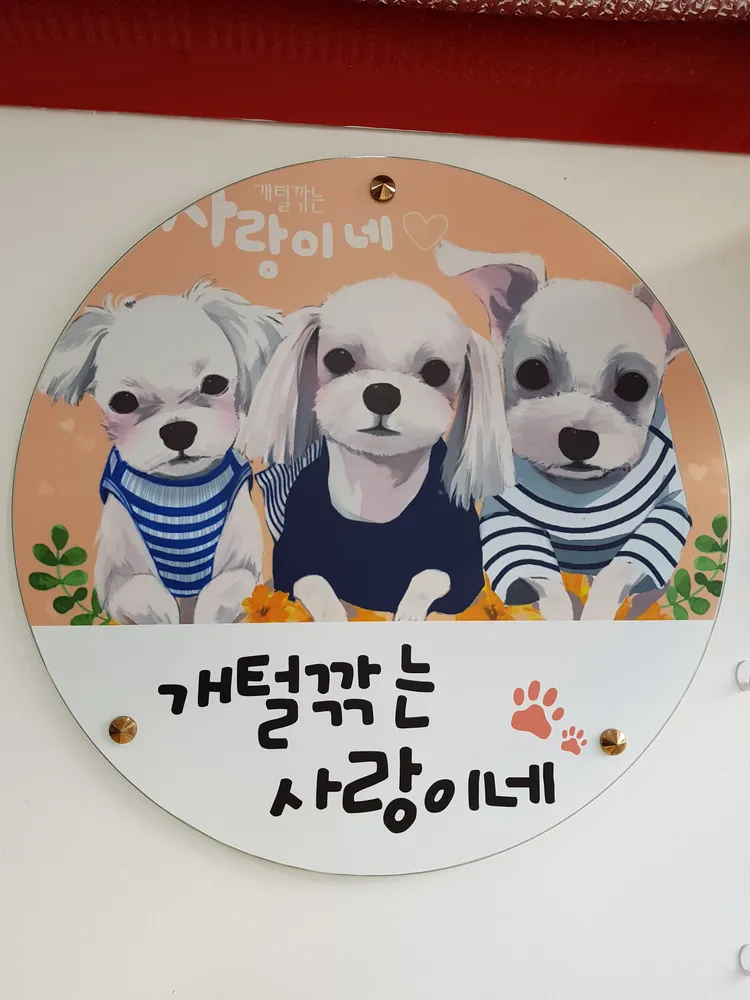 개털깎는사랑이네 대표 이미지