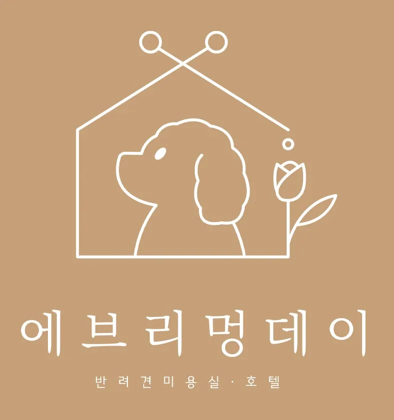 에브리멍데이 대표 이미지