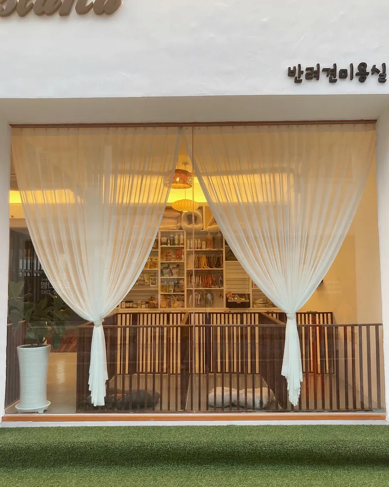 퍼피아일랜드 대표 이미지