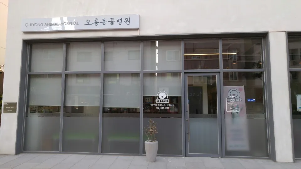 오룡애견미용 대표 이미지