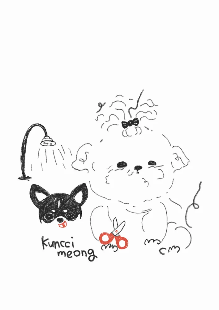 쿤찌멍 애견미용 대표 이미지