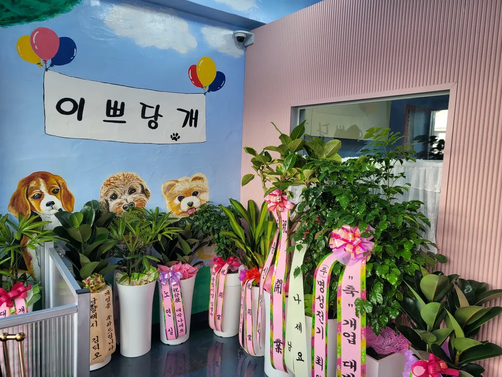 이쁘당개 대표 이미지