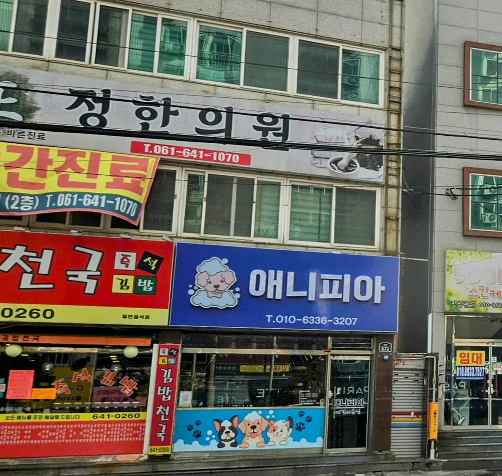 애니피아 대표 이미지