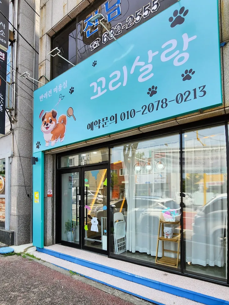 꼬리살랑 애견미용 대표 이미지