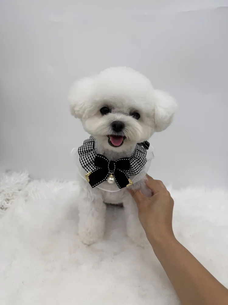 휴펫살롱 대표 이미지
