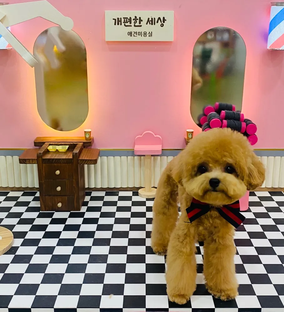 개편한세상 대표 이미지