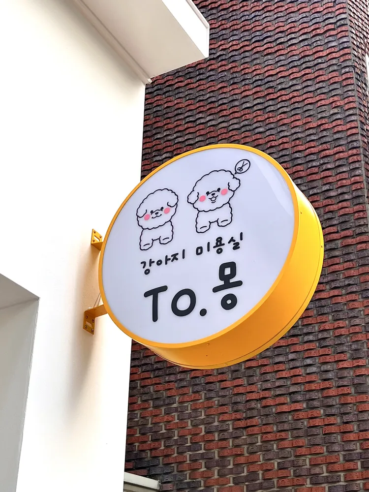 투몽 대표 이미지