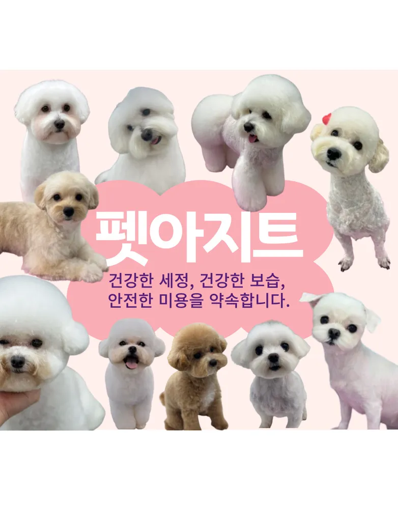 펫아지트 대표 이미지