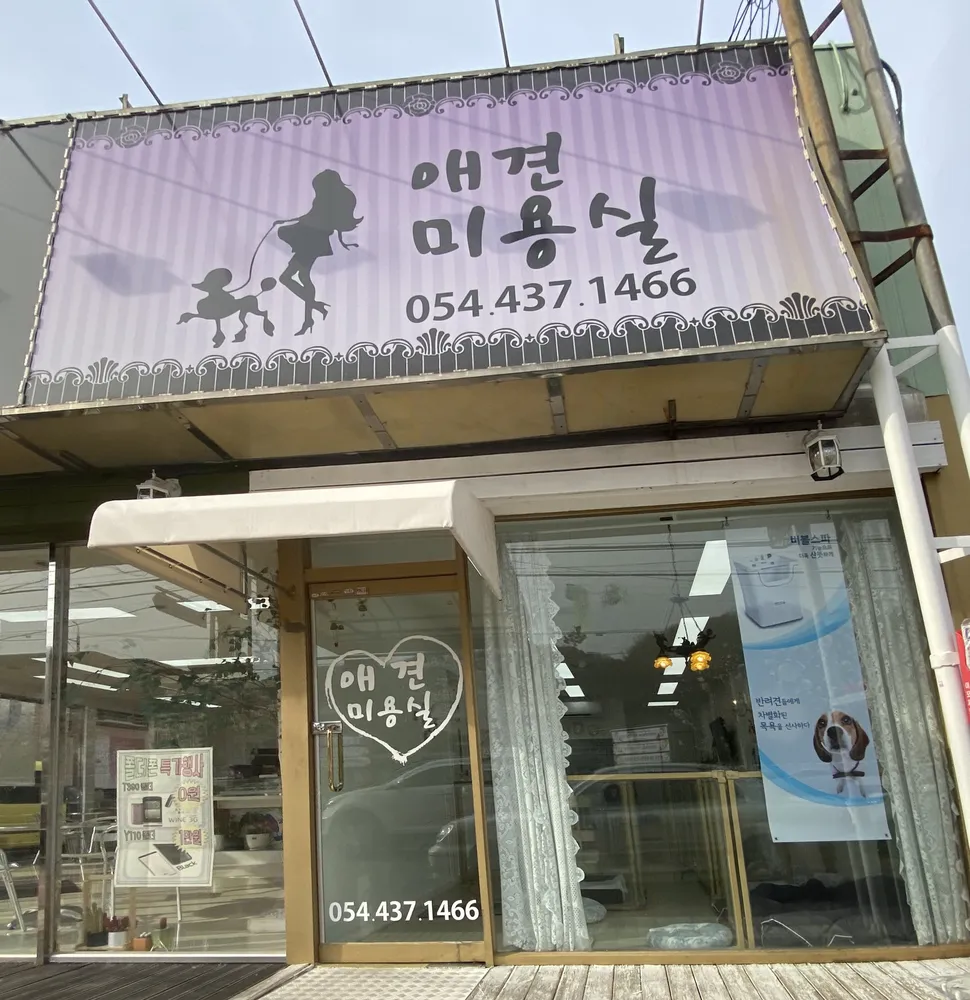 애견미용실 대표 이미지