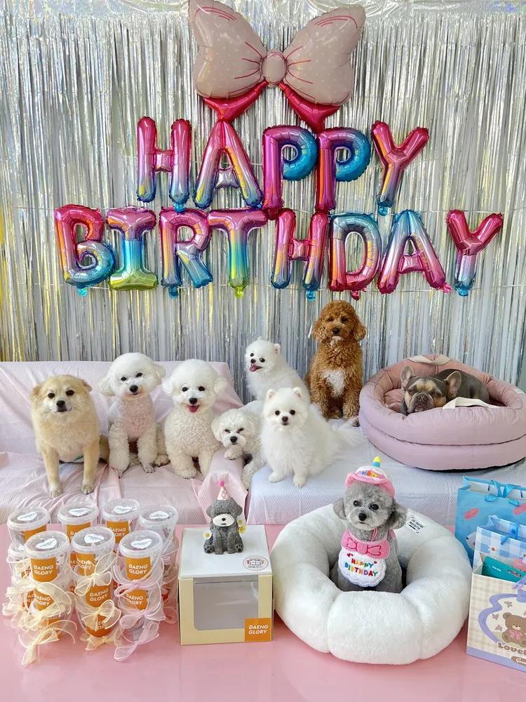 인생개획 대표 이미지