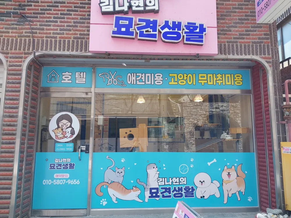 김나현의 묘견생활 대표 이미지