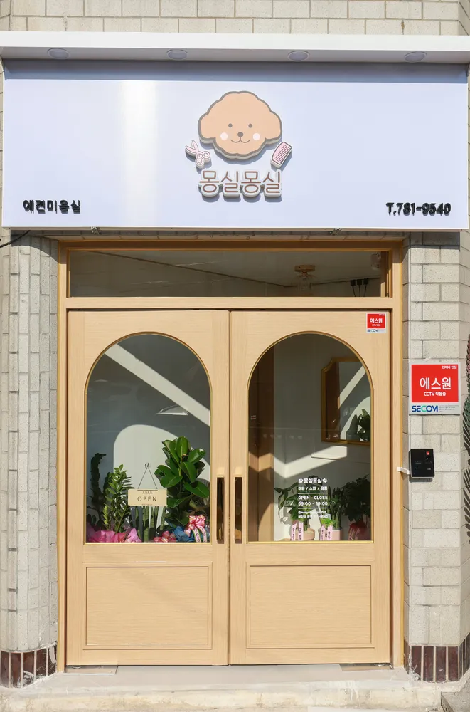 몽실몽실 대표 이미지