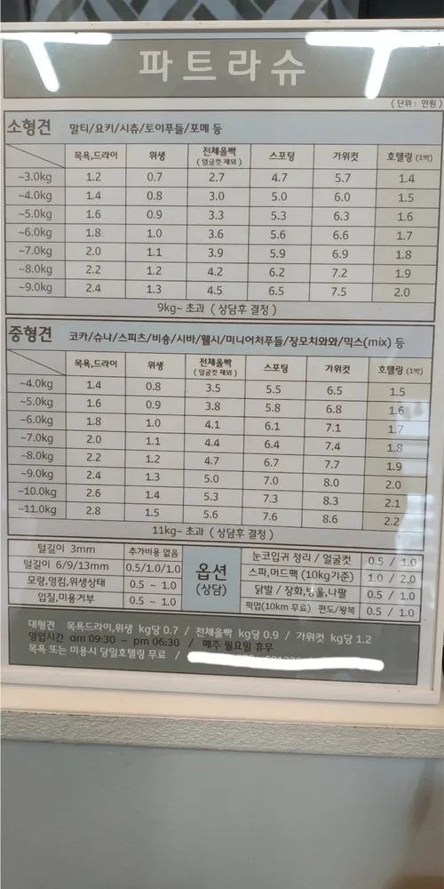 파트라슈 대표 이미지