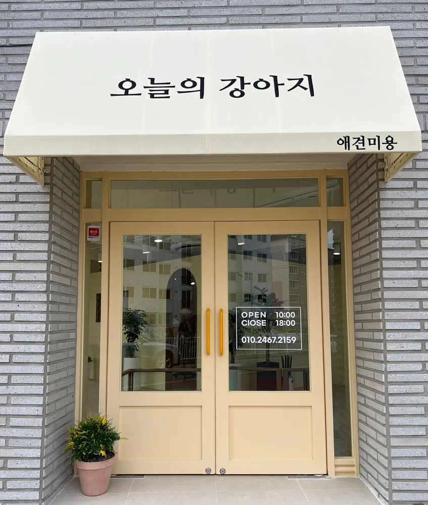 오늘의강아지 대표 이미지