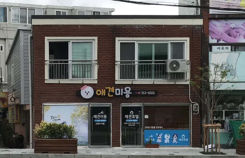 꽃보다이쁜개 대표 이미지