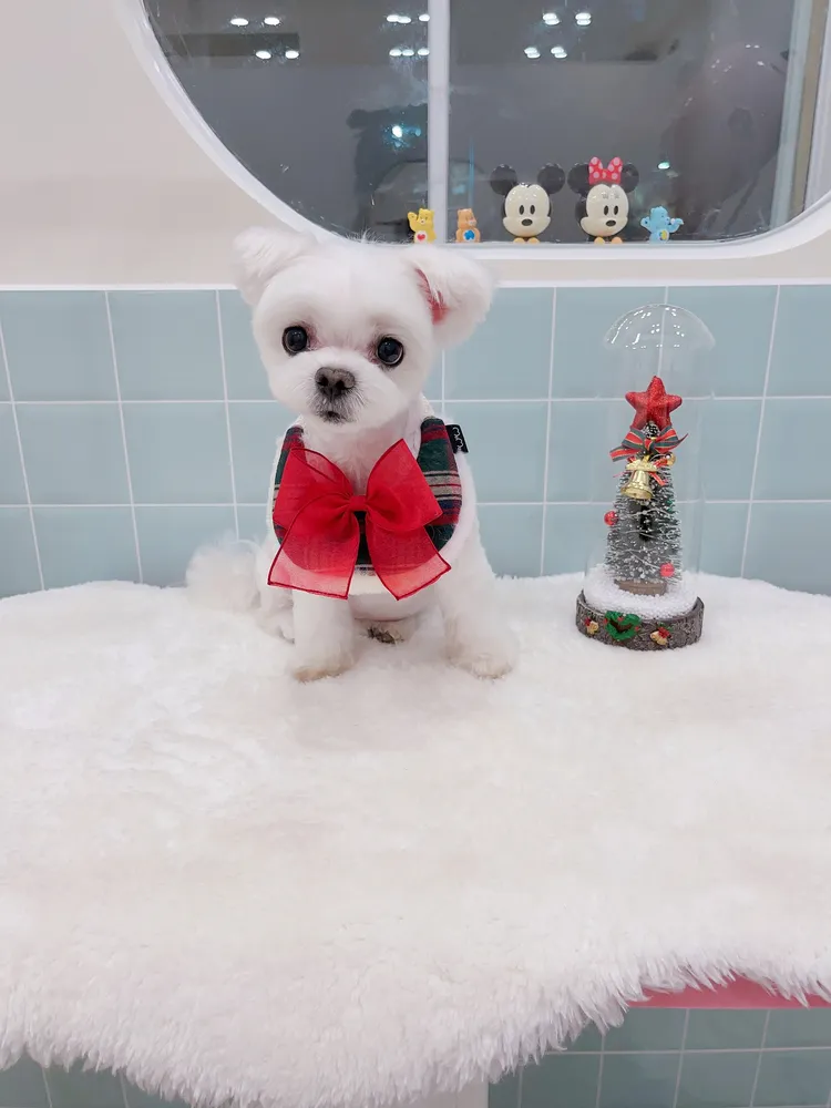 몽또와 대표 이미지