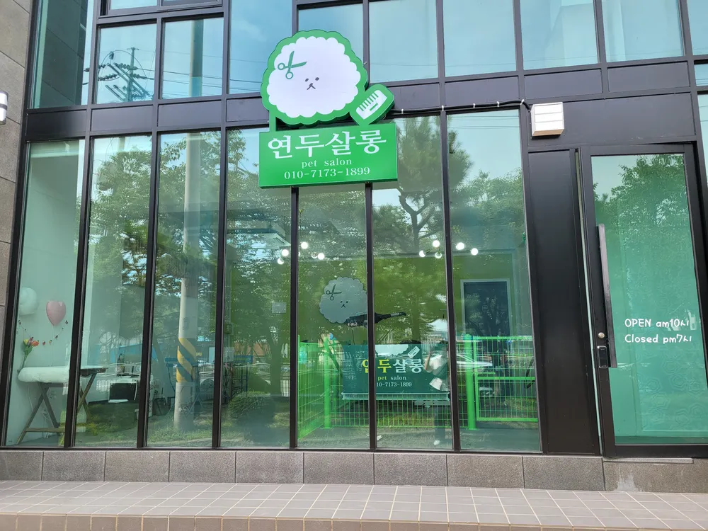 연두살롱 대표 이미지