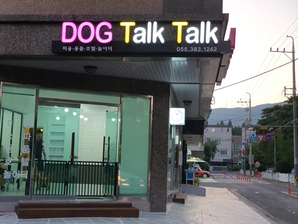 도그톡톡 대표 이미지
