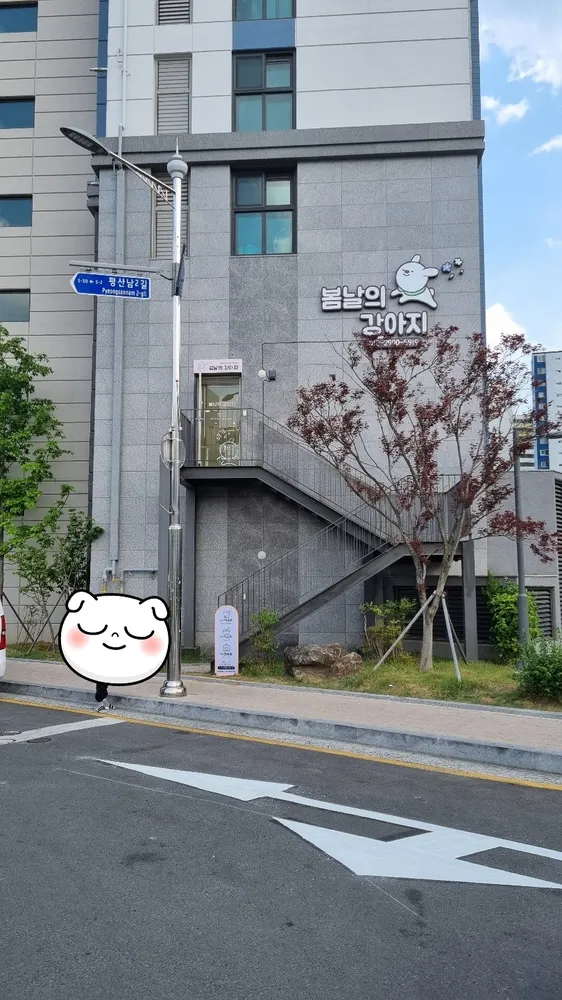 봄날의 강아지 대표 이미지