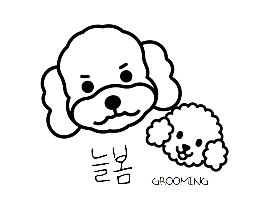 늘봄 그루밍 대표 이미지