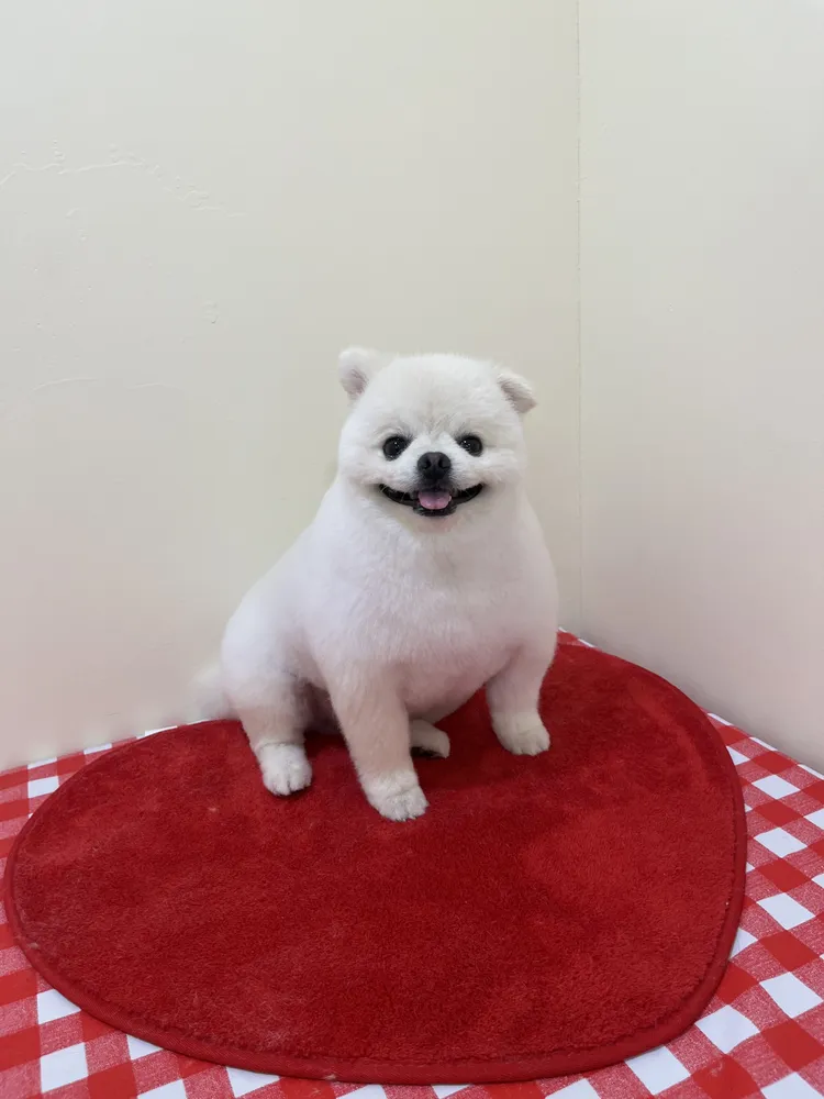 그루몽 대표 이미지