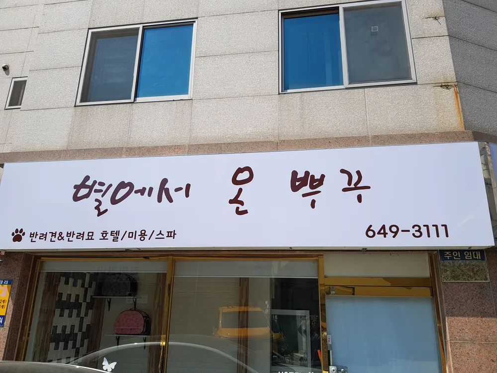 별에서온뿌꾸 대표 이미지
