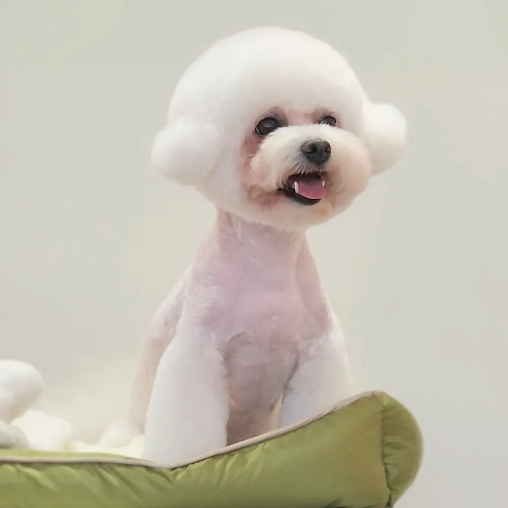 599애견미용 대표 이미지