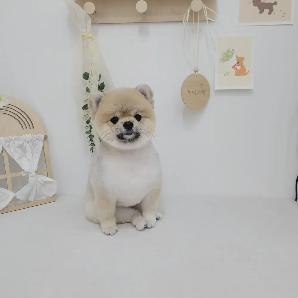 헤이베베 대표 이미지