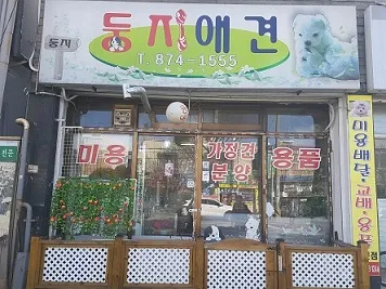둥지애견 대표 이미지