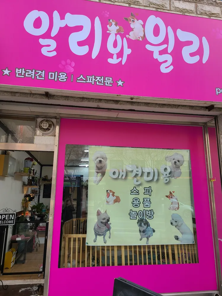 알리와윌리 애견미용샵 대표 이미지
