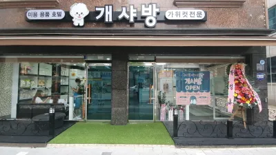 개샤방 대표 이미지
