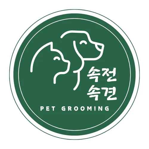 속전속견 대표 이미지