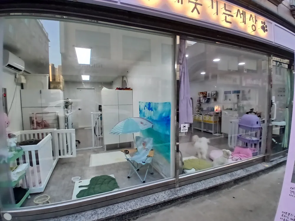 개웃기는세상 대표 이미지