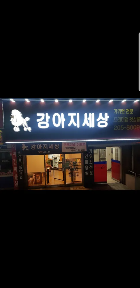 강아지세상 대표 이미지