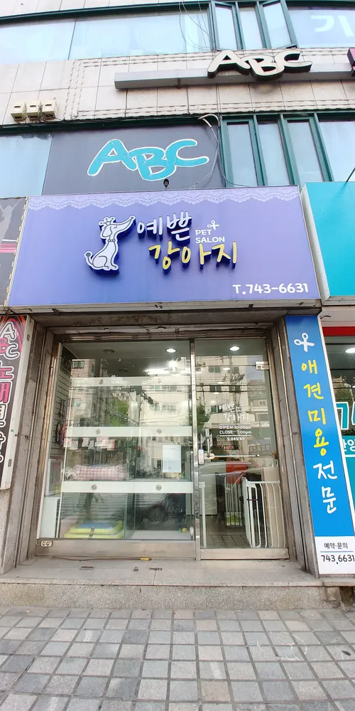 예쁜강아지 대표 이미지